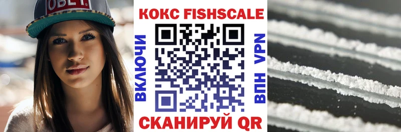 MEGA маркетплейс  Олонец  COCAIN Fish Scale 