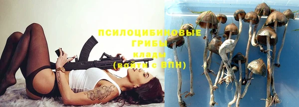 ALPHA PVP Алексин