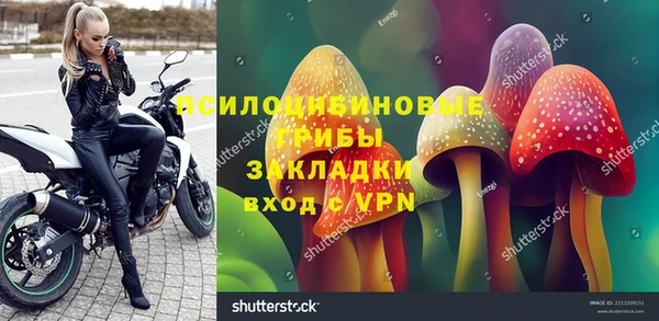 ALPHA PVP Алексин